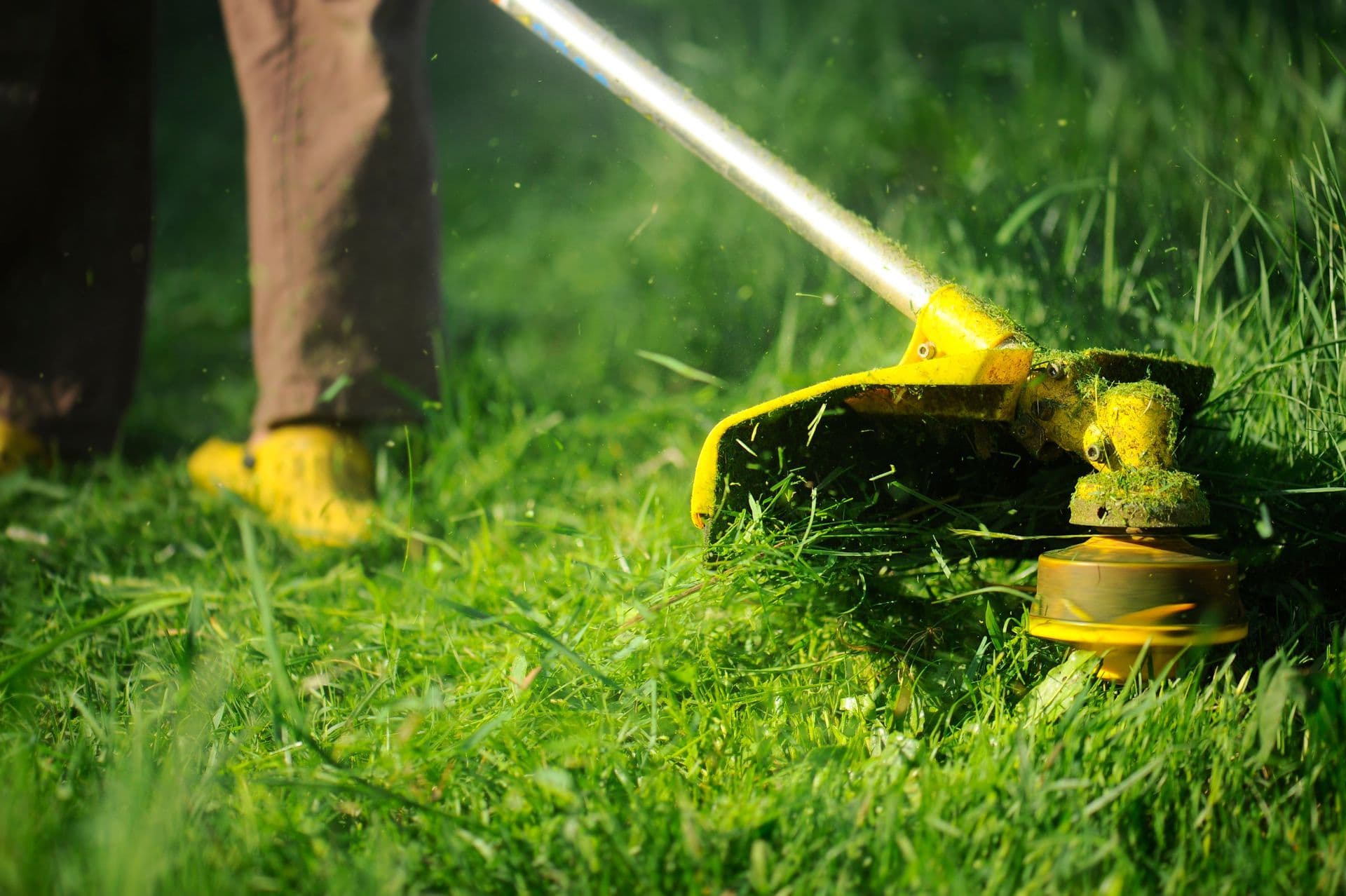 Lawn Cutting