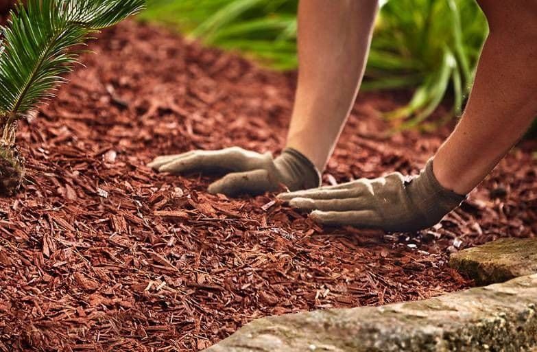 Mulch